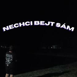 NECHCI BEJT SÁM