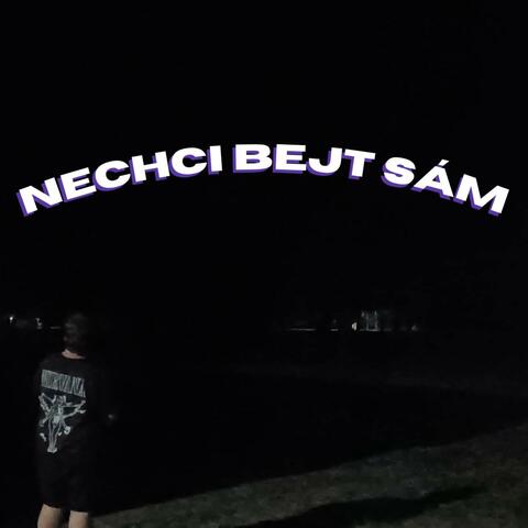 NECHCI BEJT SÁM