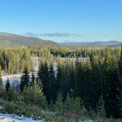 Lávlla Luonddu Birra