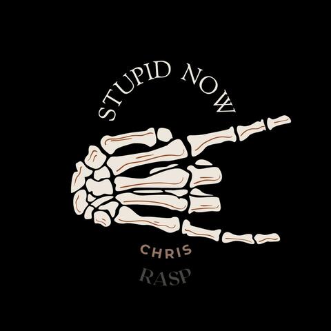 Stupid Now