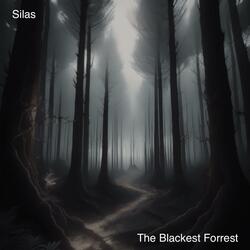 The blackest forrest (you will always disappoint)