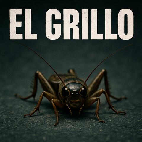 EL GRILLO