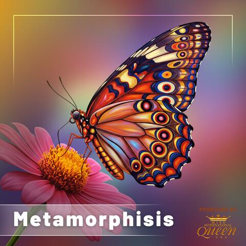 Metamorphisis