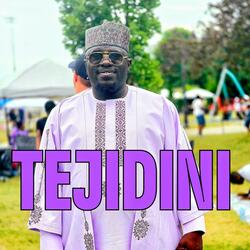 TEJIDINI