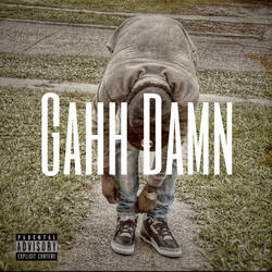 Gahh Damn