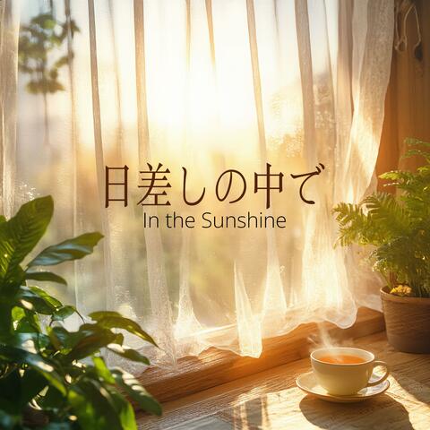 In the Sunshine - 日差しの中で