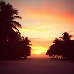 Rum Punch Riddim