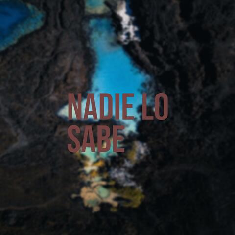 Nadie Lo Sabe