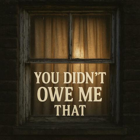 You didn't owe me that