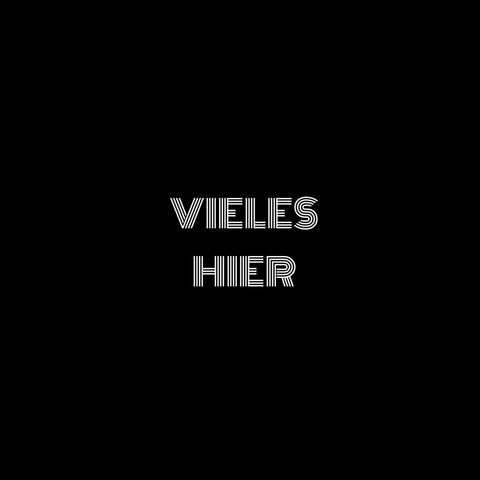 vieles hier (feat. dB and branimir prijak)