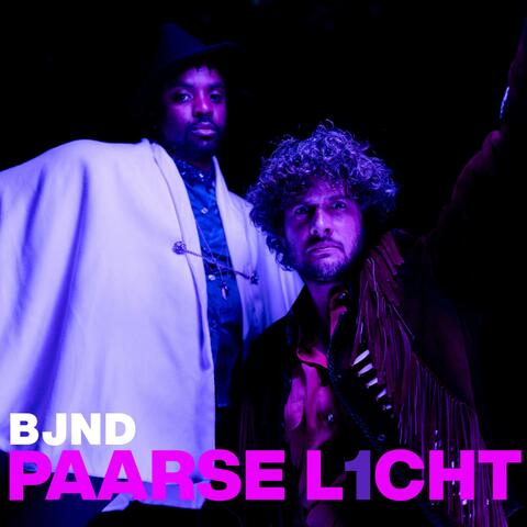 Paarse Licht (single)