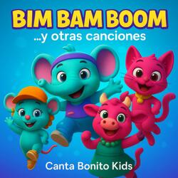 Mi Banderita Argentina