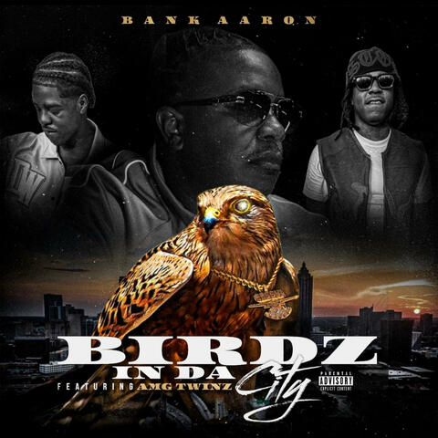 BIRDZ IN DA CITY (feat. AMG TWINZ)