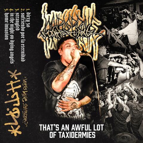 THATS AN AWFUL LOT OF TAXIDERMIES