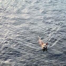 Kỷ niệm chiều hè