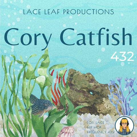 Cory Catfish 432