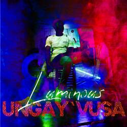 Ungay'vusa