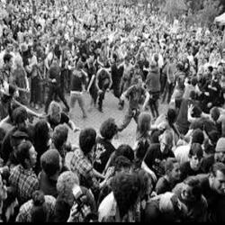 Mosh Pit