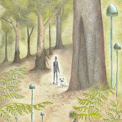 Forest for the Trees