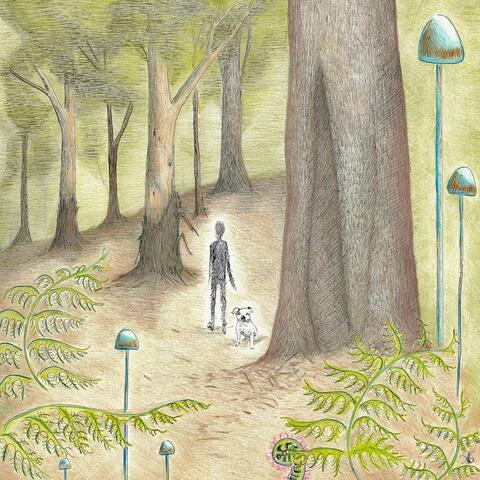 Forest for the Trees