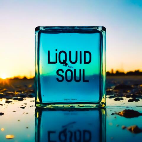 Liquid Soul (Radio Edit)