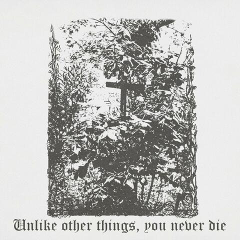 Unlike other things, you never die