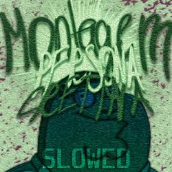 MONTAGEM PERSONA CRETINA (SLOWED)