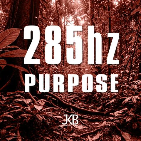 285hz Purpose