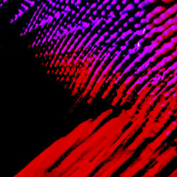 Sophomore Slump (Single Version)