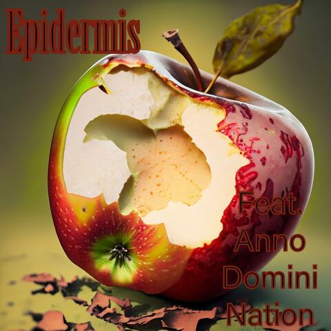 Epidermis