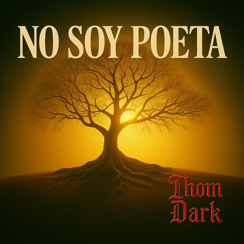 No soy poeta
