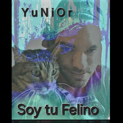 Soy Tu Felino