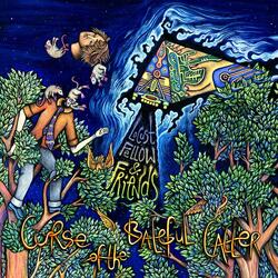 Light Through A Pine