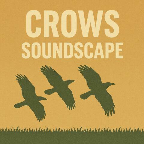 Crows