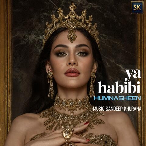 Ya Habibi Humnasheen