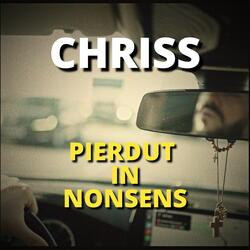 Pierdut In Nonsens