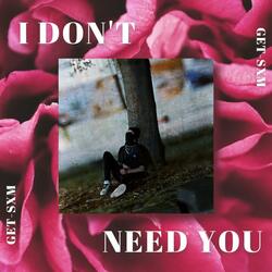 I Don't Need You