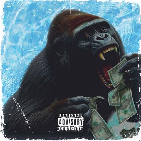 Million Dollar Dreamz