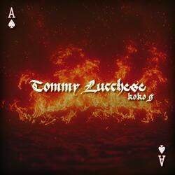 TOMMY LUCCHESE