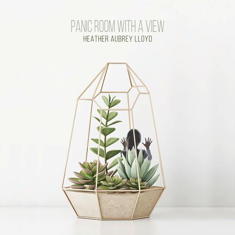 Panic Room With A View