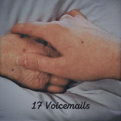 17 Voicemails
