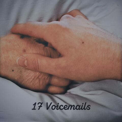 17 Voicemails