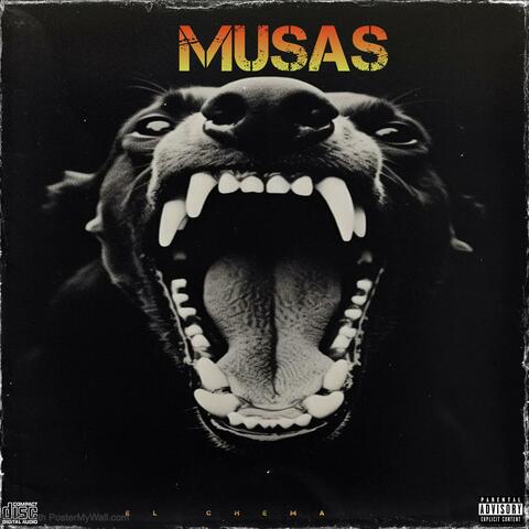 Musas