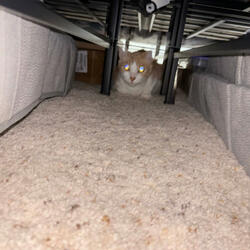 La Mira (feat. DieWealthyDuce)