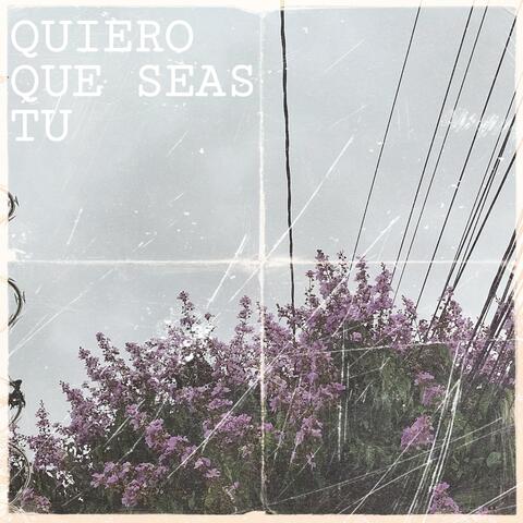 Quiero Que Seas Tu (No Me Dañes)