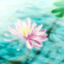 lotus