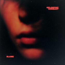 Blame