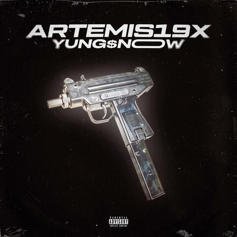 Artemis19x