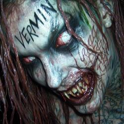 VERMIN