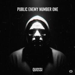 PUBLIC ENEMY NUMBER ONE II